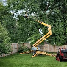 Leaf Removal in Red Lion, PA