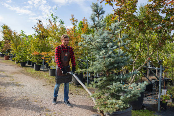 Best Tree Trimming and Pruning  in Red Lion, PA